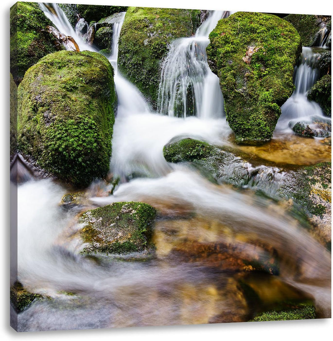 Gertelbach im Schwarzwald, Format: 70x70 auf Leinwand, XXL riesige Bilder fertig gerahmt mit Keilrah