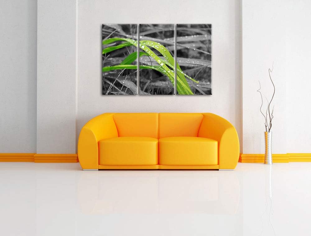 Grashalme im Morgentau schwarz/weiss 3-Teiler Leinwandbild 120x80 Bild auf Leinwand, XXL riesige Bil