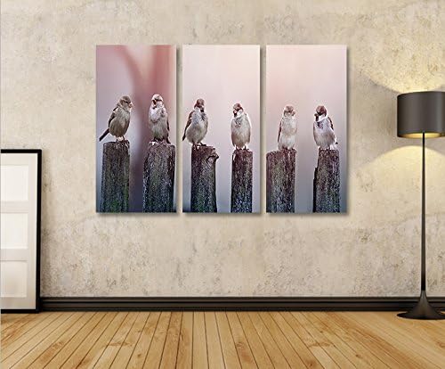islandburner Bild Bilder auf Leinwand Birds Vögel Spatz auf Holzsteg 3p XXL Poster Leinwandbild Wand