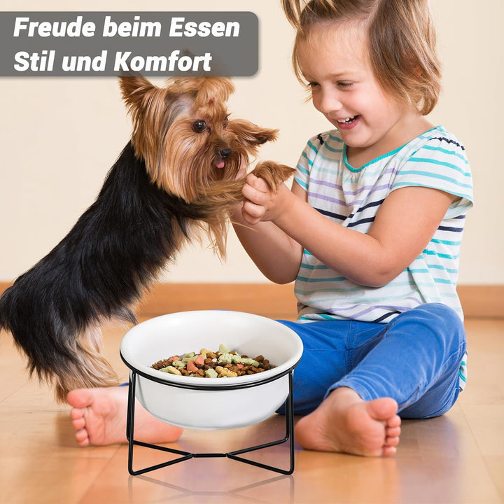 Katzennapf Hundenapf - Futternapf Katze Hund Keramik - Katzennapf Erhöht mit Ständer - Fressnapf Was
