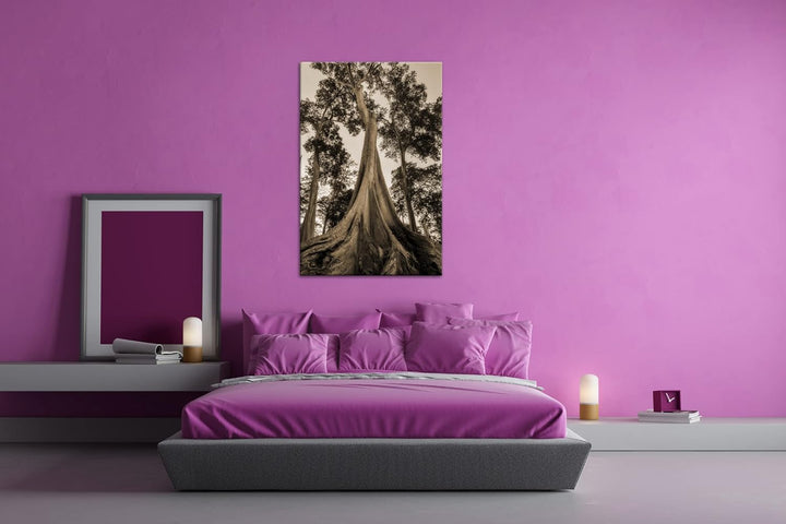 deyoli märchenhafter Baum Format: 100x70 cm Effekt: Sepia als Leinwandbild, Motiv fertig gerahmt auf