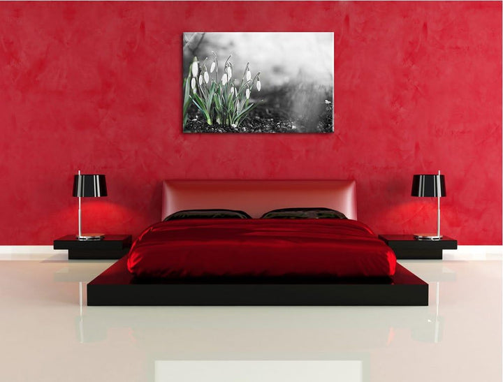Frühlings Schneeglöckchen schwarz/weiss Format: 100x70 auf Leinwand, XXL riesige Bilder fertig gerah