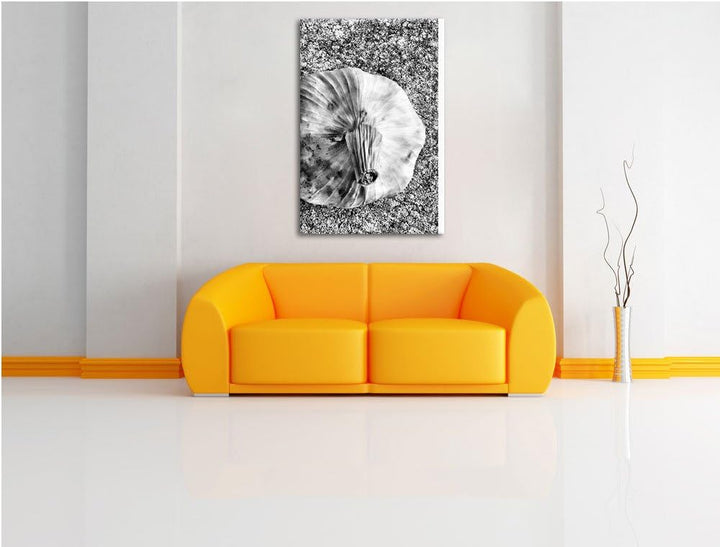 Pixxprint Zwei Knoblauchknollen als Leinwandbild/Grösse: 100x70 cm/Wandbild/Kunstdruck/fertig bespan