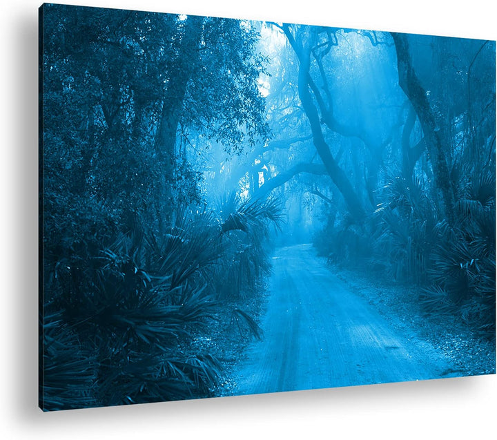 deyoli tropischer Waldweg Format: 80x60 Effekt: Monocrome Blau als Leinwand, Motiv fertig gerahmt au