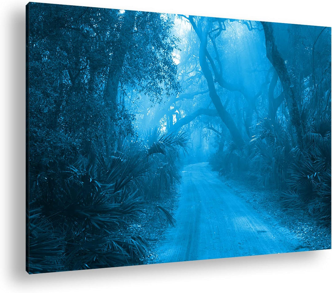 deyoli tropischer Waldweg Format: 80x60 Effekt: Monocrome Blau als Leinwand, Motiv fertig gerahmt au