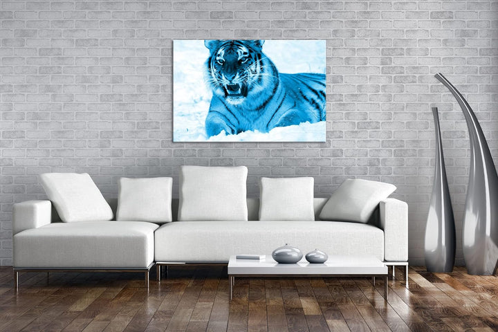 deyoli knurrender Tiger im Schnee Format 80x60 Effekt: Monocrome Blau als Leinwandbild, Motiv fertig