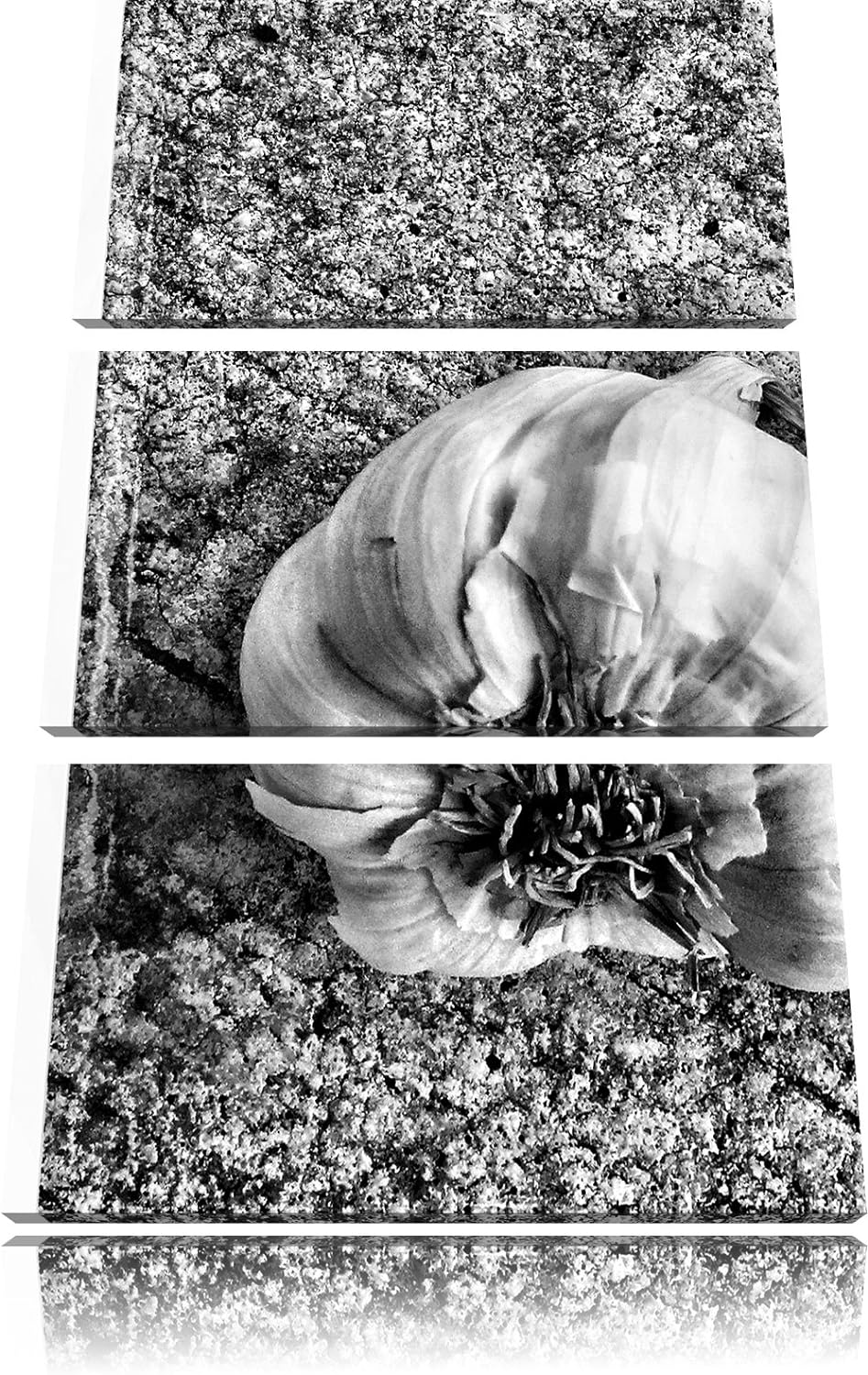 Pixxprint Zwei Knoblauchknollen als Leinwandbild/Grösse: 3 Teilig (120x80) cm/Wandbild/Kunstdruck/fe