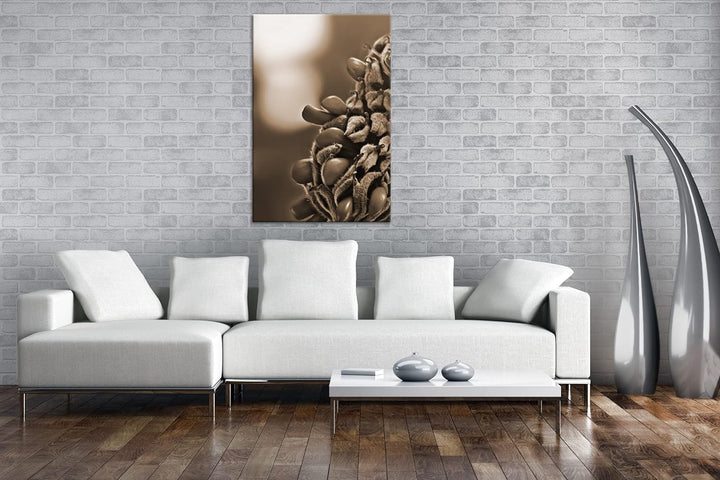 deyoli Südliche Magnolie Stierbucht Format: 80x60 Effekt: Sepia als Leinwandbild, Motiv fertig gerah