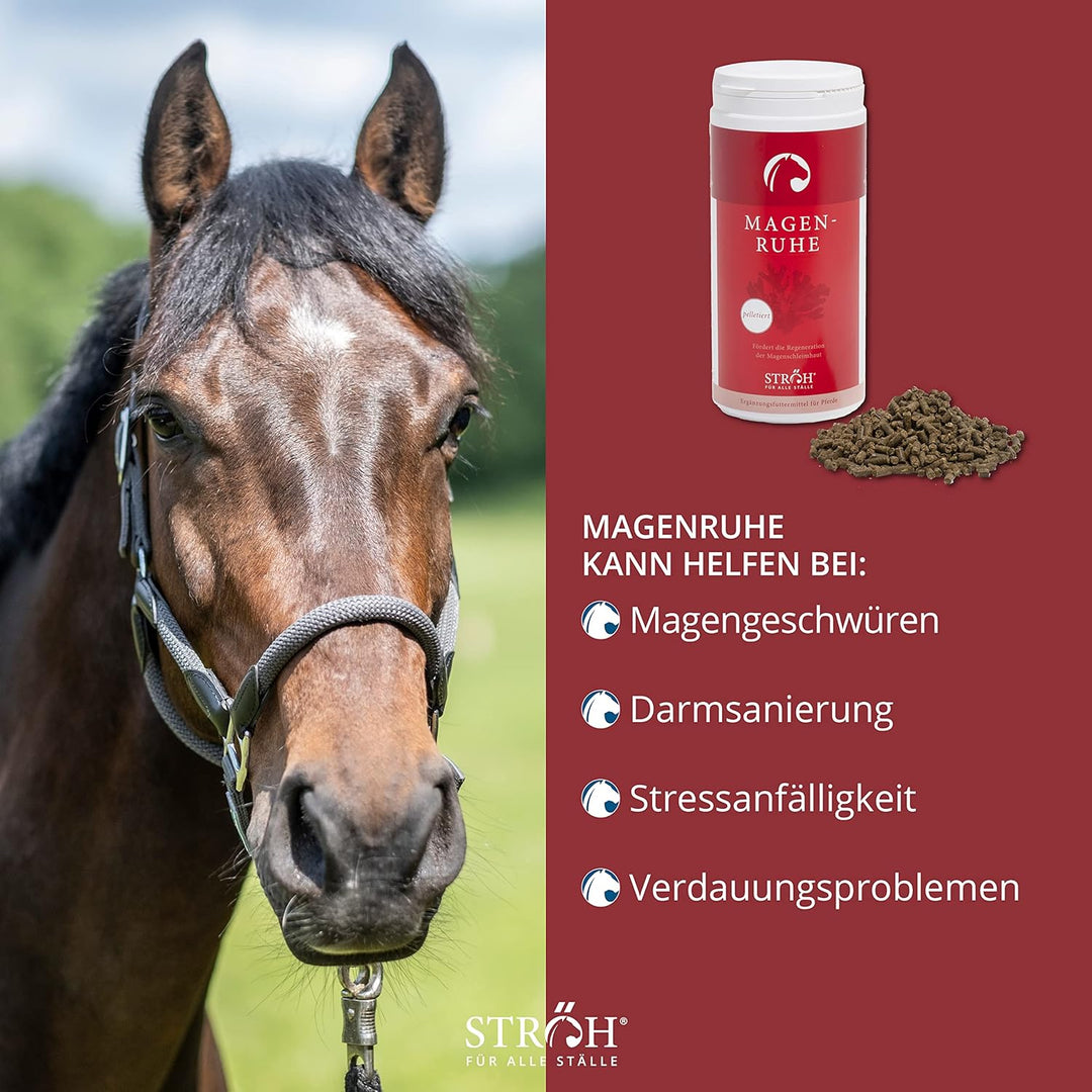 STRÖH Magenruhe Pferd (1kg) • Für Pferde Magen, Darm & Verdauung • Mineralfutter mit Bierhefe, Sandd