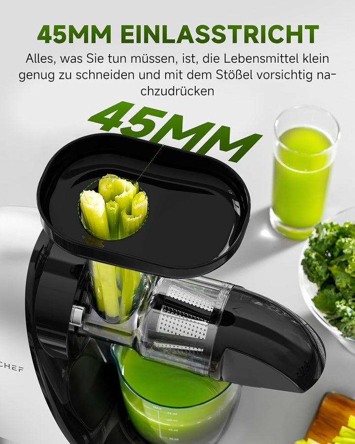 AMZCHEF Entsafter Gemüse und Obst Testsieger - Entsafter Slow Juicer mit Rückwärts-Kau-Funktion - Za
