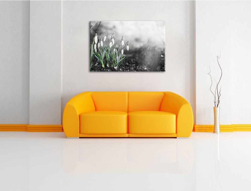 Frühlings Schneeglöckchen schwarz/weiss Format: 100x70 auf Leinwand, XXL riesige Bilder fertig gerah
