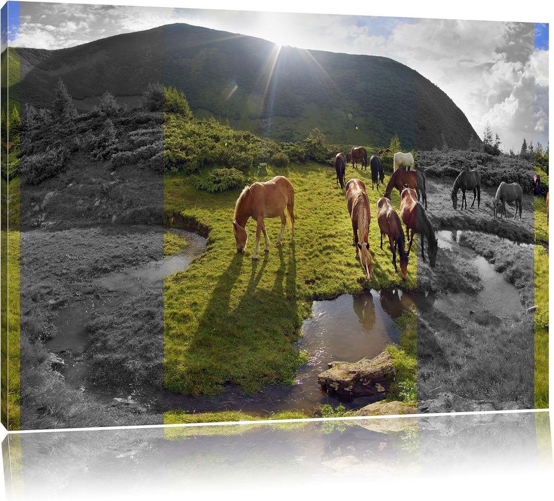 fressende Pferdeherde im Gebirge schwarz/weiss Format: 100x70 auf Leinwand, XXL riesige Bilder ferti