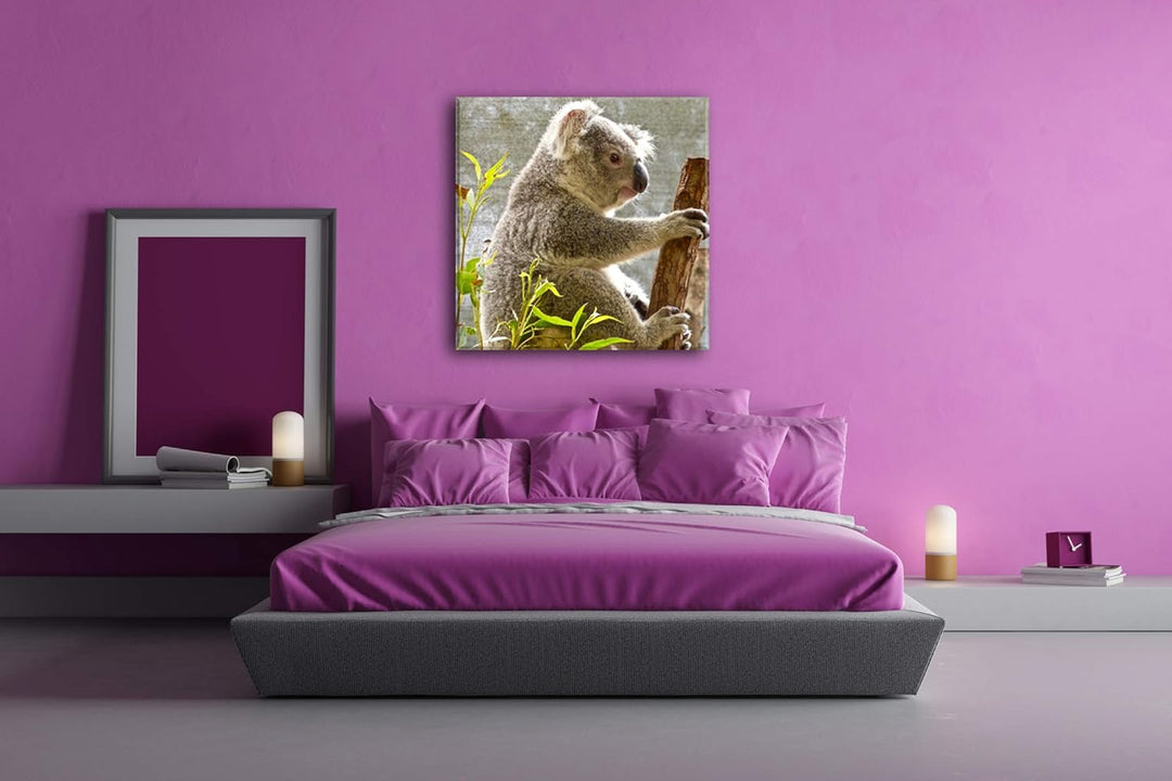 deyoli süsser Koalabär Format: 60x60 als Leinwandbild, Motiv fertig gerahmt auf Echtholzrahmen, Hoch