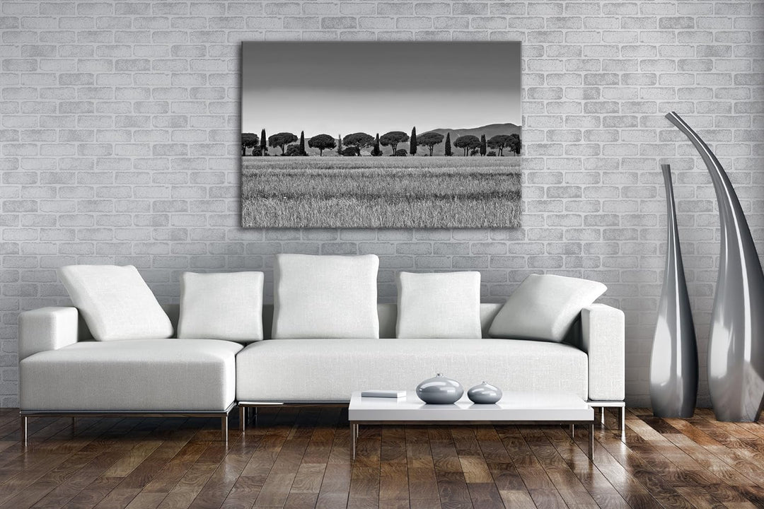 deyoli Toskana Landschaft mit Zypressen und Pinien Effekt: Schwarz/Weiss im Format: 60x40 als Leinwa