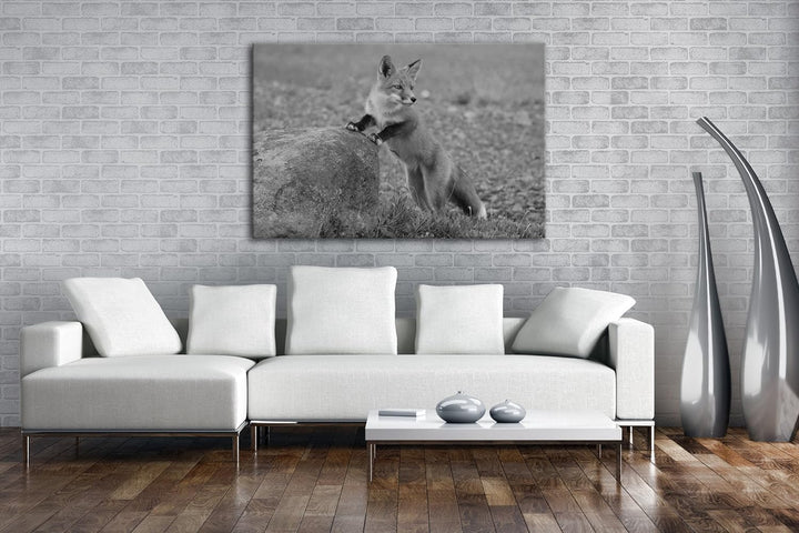 deyoli Verspielter süsser Fuchs Effekt: Schwarz/Weiss Format: 80x60 als Leinwandbild, Motiv fertig g