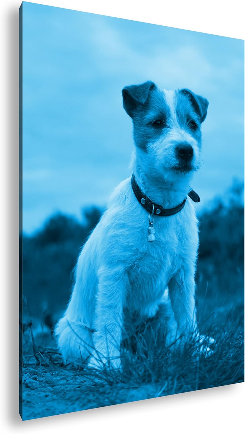 deyoli süsser Jack Russell Terrier Format 80x60 Effekt: Monocrome Blau als Leinwandbild, Motiv ferti