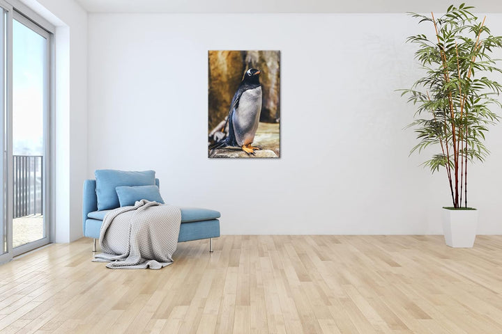 deyoli niedlicher Pinguin Format: 80x60 als Leinwand, Motiv fertig gerahmt auf Echtholzrahmen, Hochw