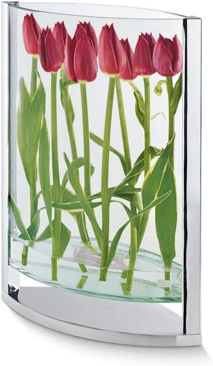 PHILIPPI - Decade Vase S - Klassiker Blumen schweben über dem Tisch - Zeitlos und Elegant H 30 cm |