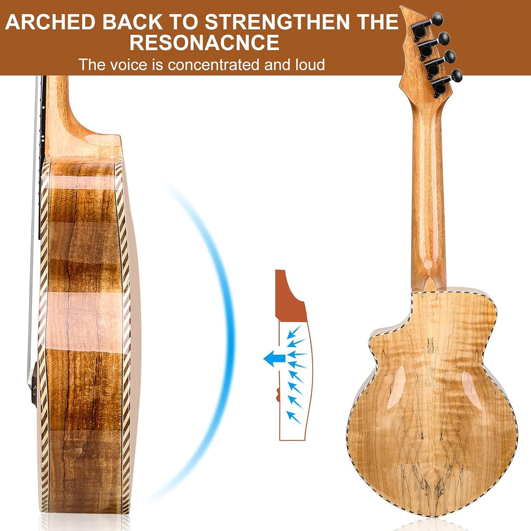Hricane Konzert Ukulele aus edel hochqualitativ Spalten Ahorn, Professional Ukulelen glatt glänzend