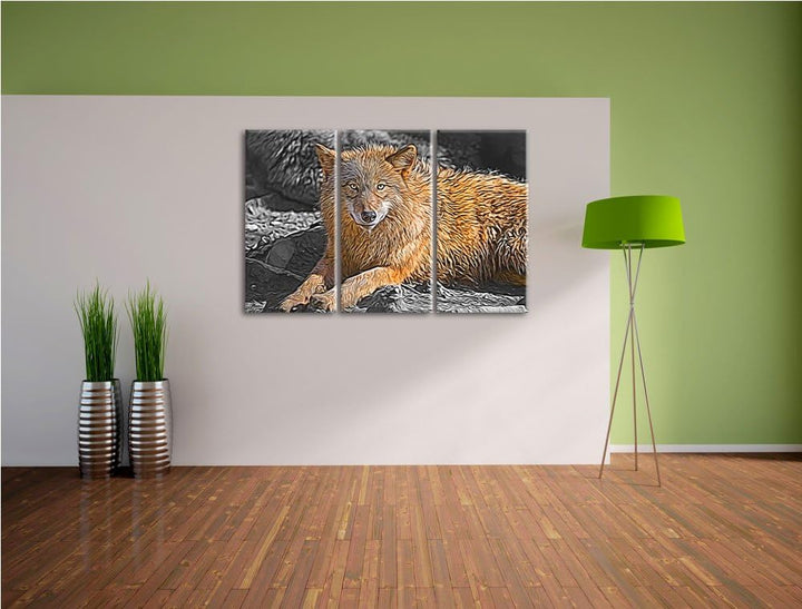 aufschauender maiestätischer Wolf schwarz/weiss Deluxe 3-Teiler Leinwandbild 120x80 Bild auf Leinwan