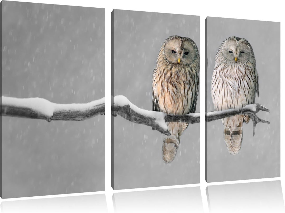 Pixxprint Zwei Eulen in Winterlandschaft als Leinwandbild | Grösse: 3 Teilig (120x80) | Wandbild| Ku