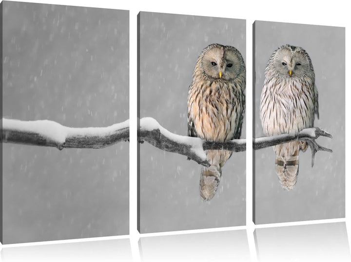Pixxprint Zwei Eulen in Winterlandschaft als Leinwandbild | Grösse: 3 Teilig (120x80) | Wandbild| Ku