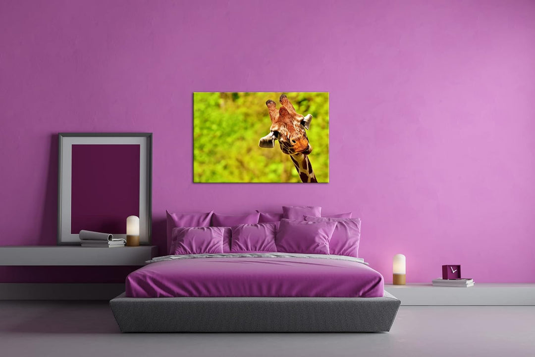 deyoli lustige Giraffe Format: 60x40 cm als Leinwandbild, Motiv fertig gerahmt auf Echtholzrahmen, H