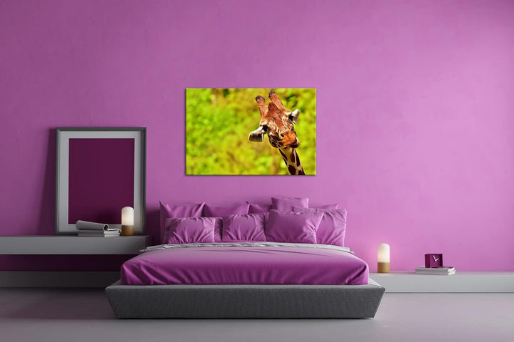 deyoli lustige Giraffe Format: 60x40 cm als Leinwandbild, Motiv fertig gerahmt auf Echtholzrahmen, H