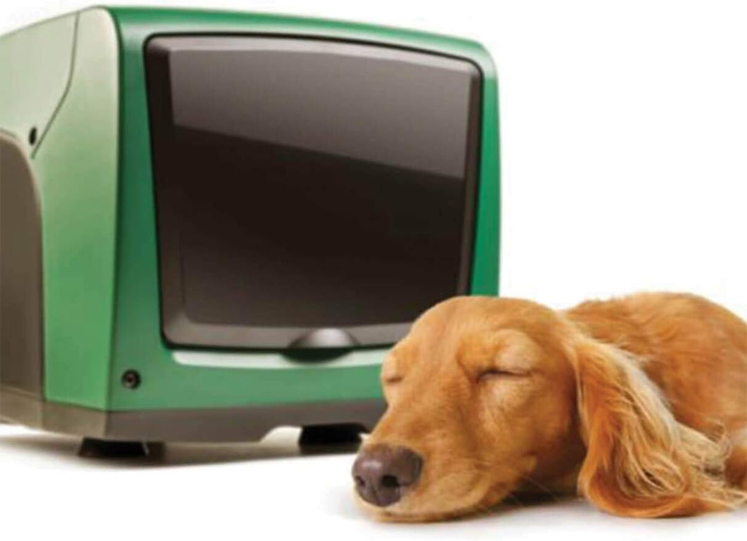 DAB E.sybox Mini 3 Automatisches Boostersystem mit Wechselrichter