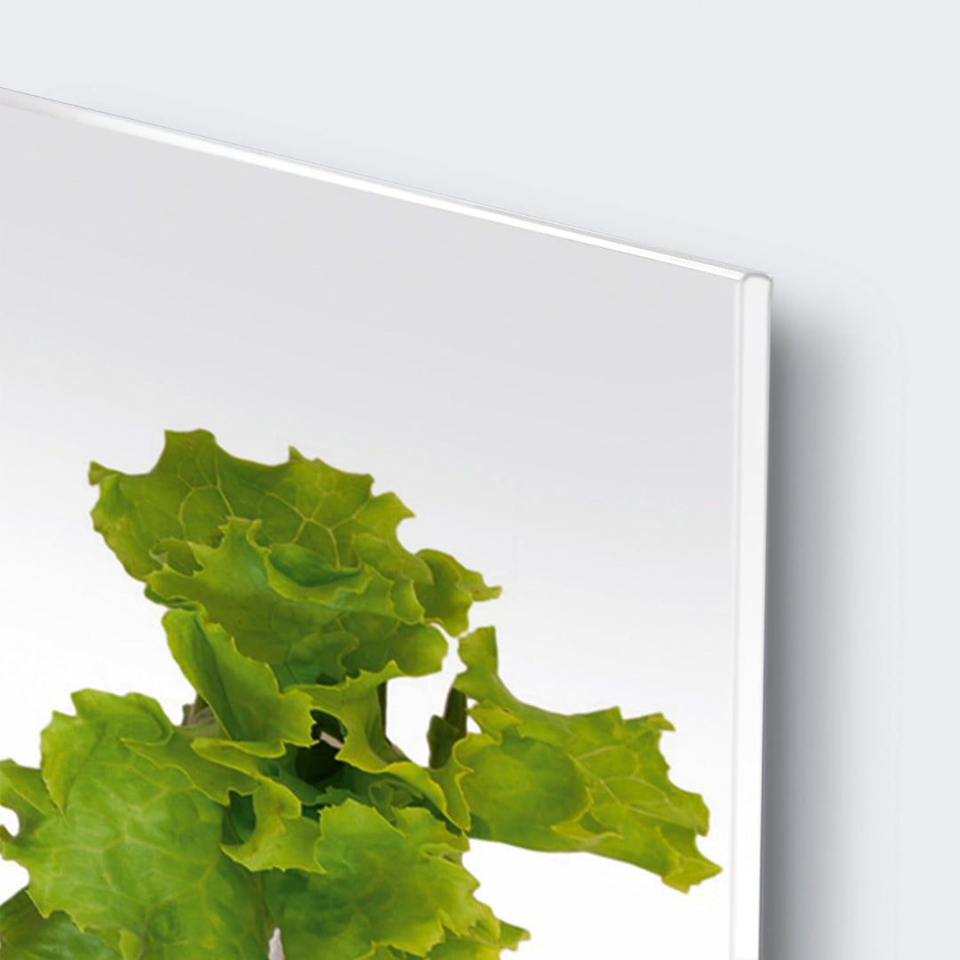 Eurographics DG-DT7022 Deco Glass 30 x 80 cm Glass Picture Pierced Vegetables, Dg-dt7022 Deco Glass