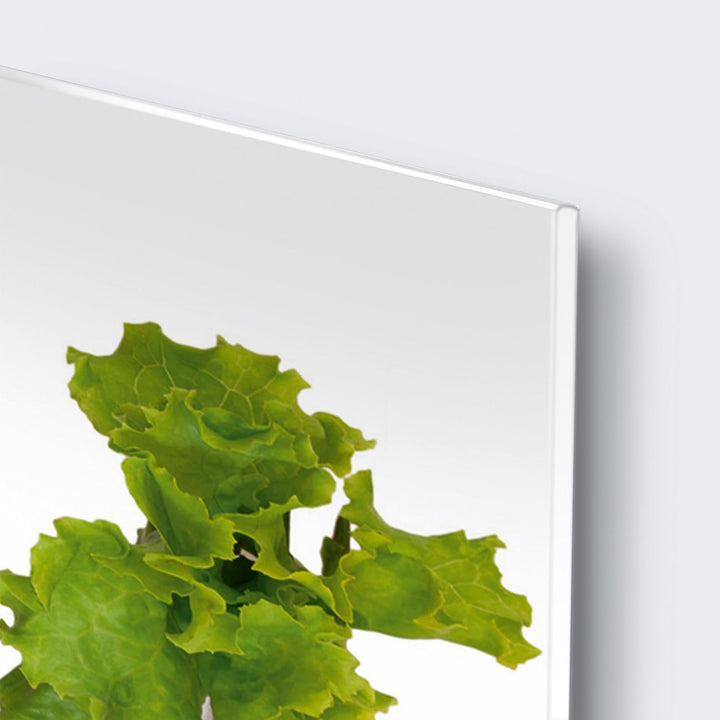 Eurographics DG-DT7022 Deco Glass 30 x 80 cm Glass Picture Pierced Vegetables, Dg-dt7022 Deco Glass