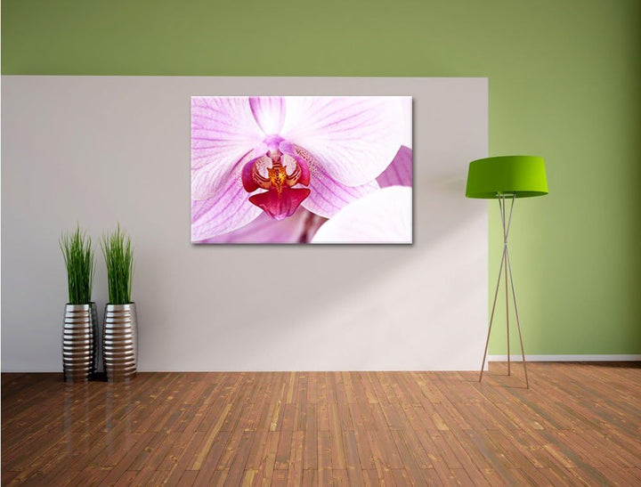 Prächtige Rosa Orchidee Format: 100x70 auf Leinwand, XXL riesige Bilder fertig gerahmt mit Keilrahme