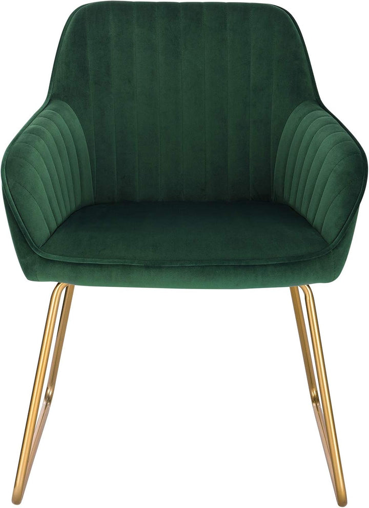 WOLTU Esszimmerstühle 2er Set Küchenstühle Wohnzimmerstühle Polsterstühle Sessel, Armlehnstühle mit