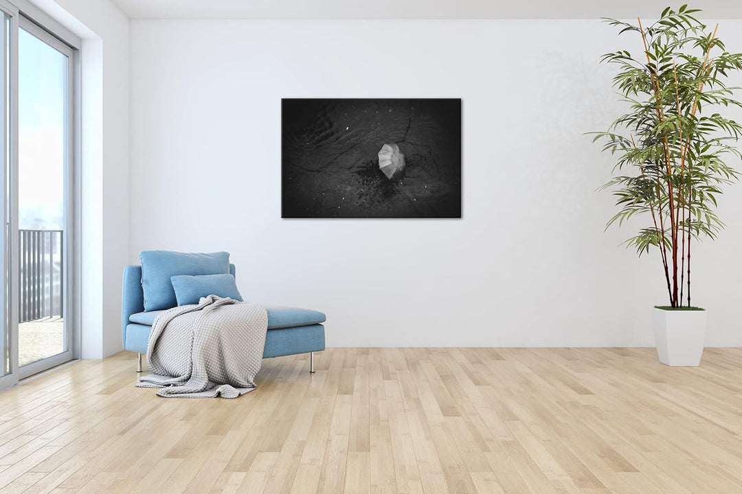 deyoli verlorender Regenschirm Format: 80x60 Effekt: Schwarz&Weiss als Leinwandbild, Motiv fertig ge