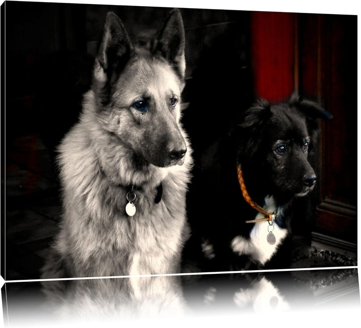 Pixxprint Zwei Hunde auf dem Teppich auf Leinwand, XXL riesige Bilder fertig gerahmt mit Keilrahmen,