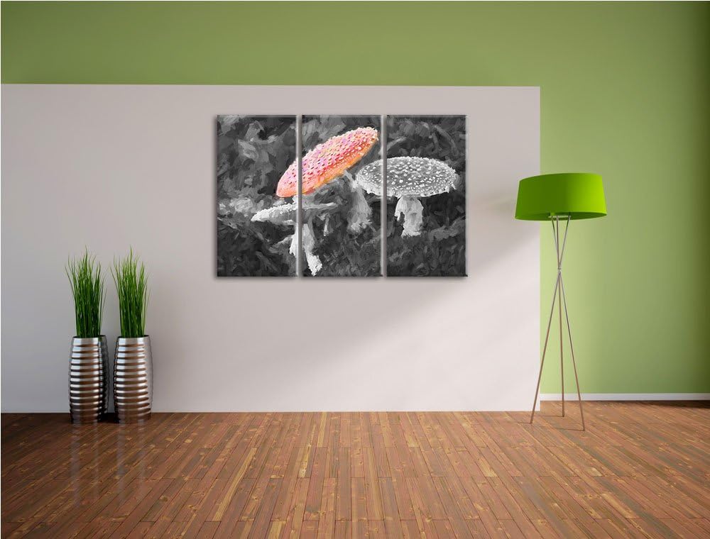 prächtige Fliegenpilze auf Waldboden schwarz/weiss Spezial 3-Teiler Leinwandbild 120x80 Bild auf Lei