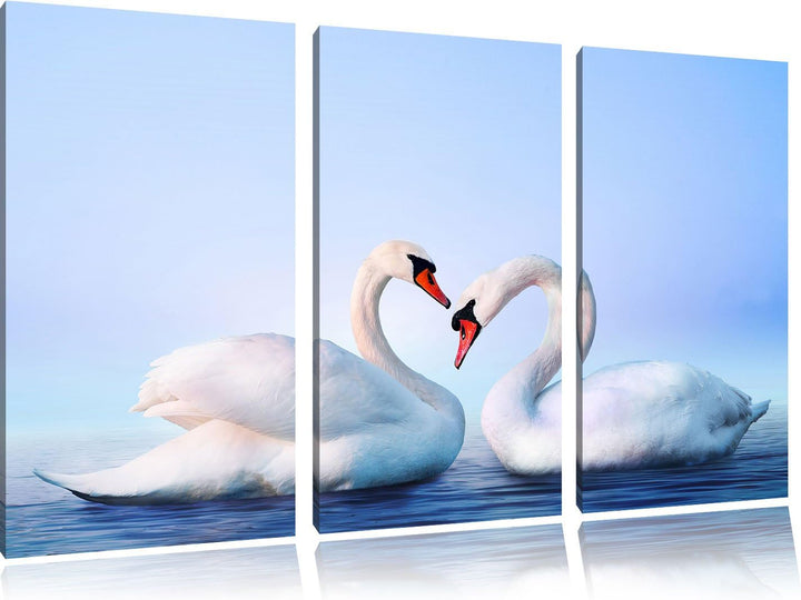 Pixxprint Zwei Schwäne auf dem Wasser als Leinwandbild/Grösse: 3 Teilig (120x80) / Wandbild/Kunstdru