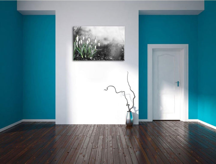 Frühlings Schneeglöckchen schwarz/weiss Format: 100x70 auf Leinwand, XXL riesige Bilder fertig gerah