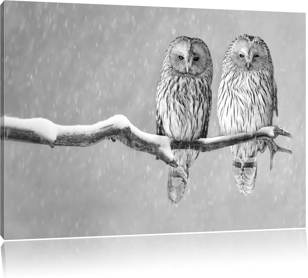 Pixxprint Zwei Eulen in Winterlandschaft Kunst B&W, Format: 100x70 auf Leinwand, 100x70