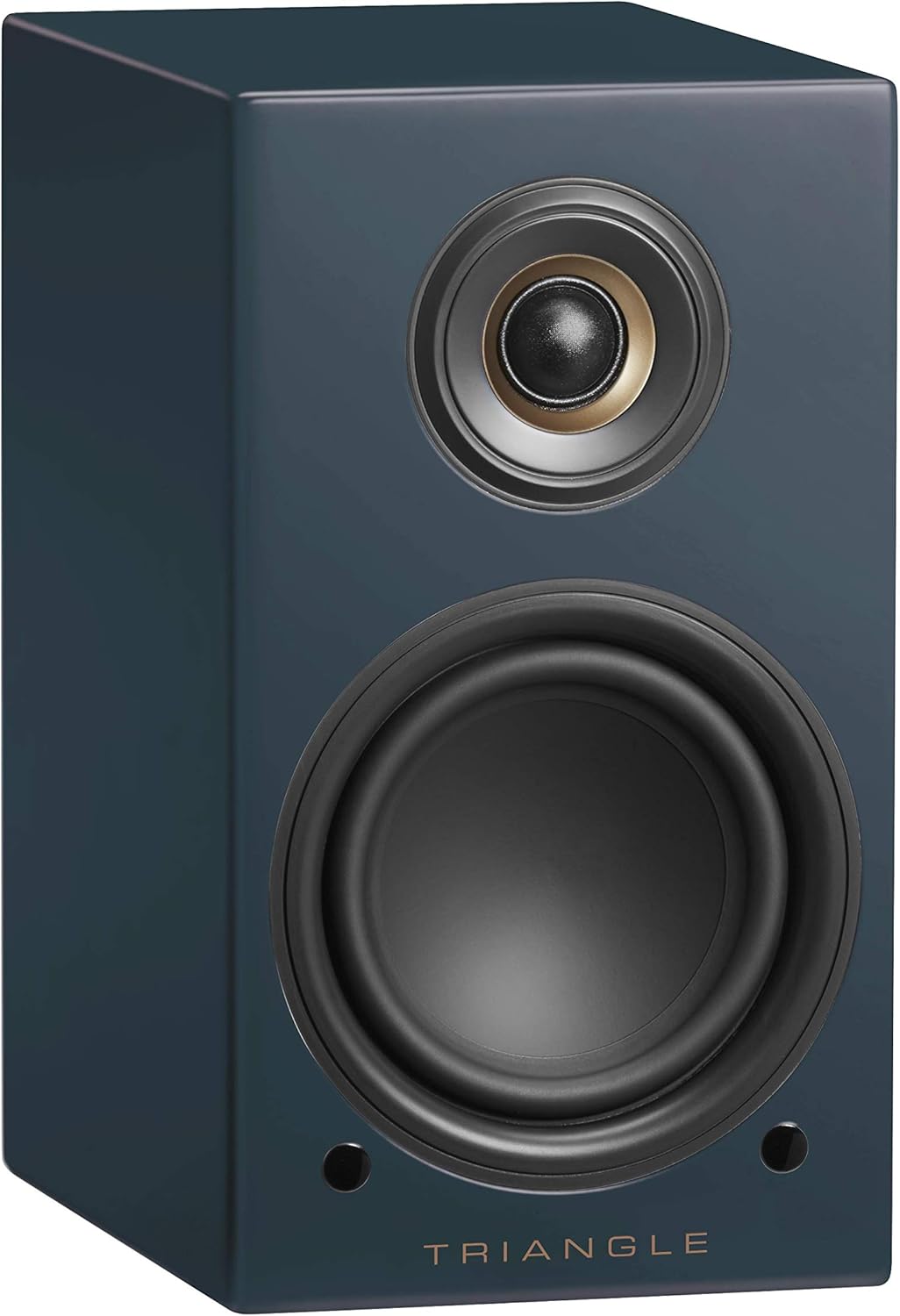 Active Speakers LN01A - Bluetooth Regallautsprecher mit 2 x 50W Verstärker - HD Audio - Phono/Optica