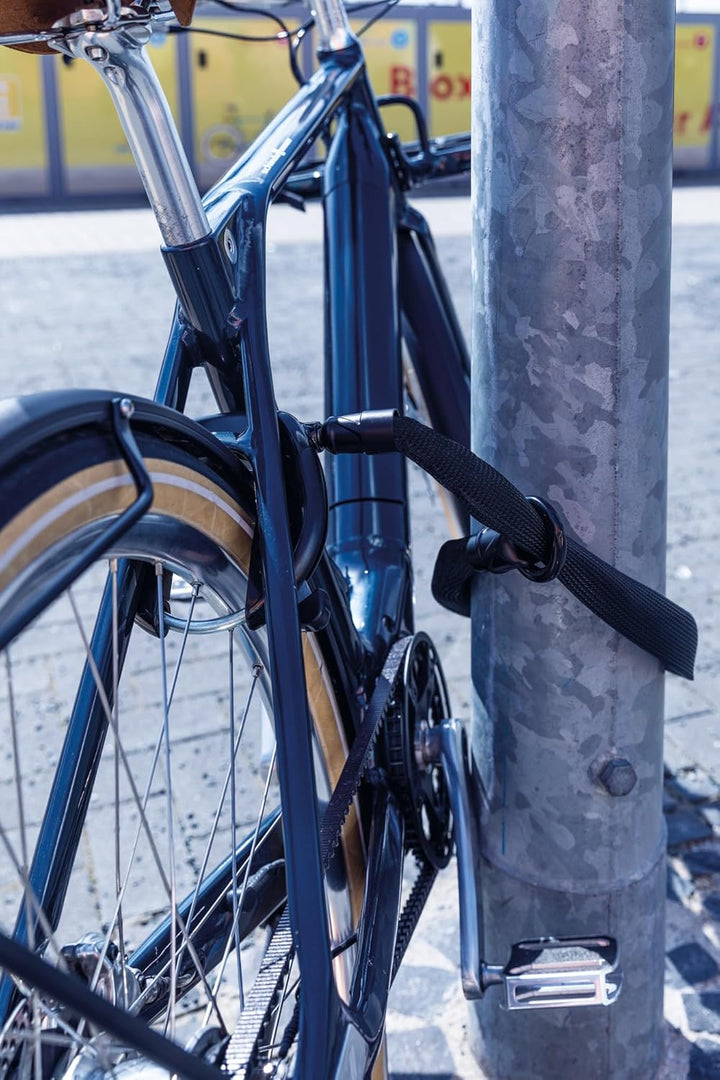 ABUS Rahmenschloss-Einsteckkette IvyTex Adaptor Chain 8KS - Fahrradschloss mit schmutz- und feuchtig