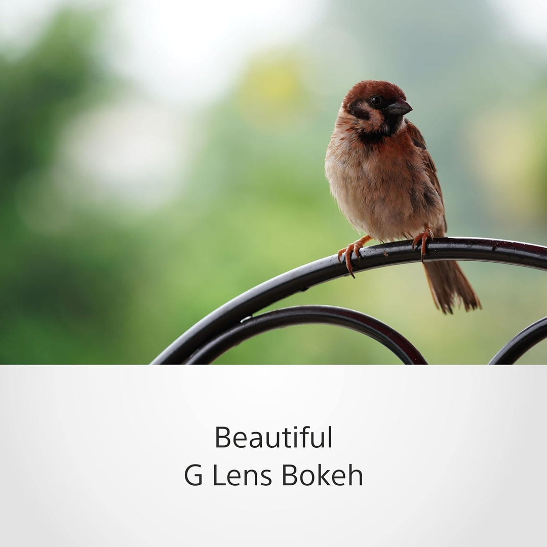 Sony E 70-350mm f/4.5-6.3 G OSS | APS-C, Super-Telezoom-Objektiv (SEL70350G) Single, Single