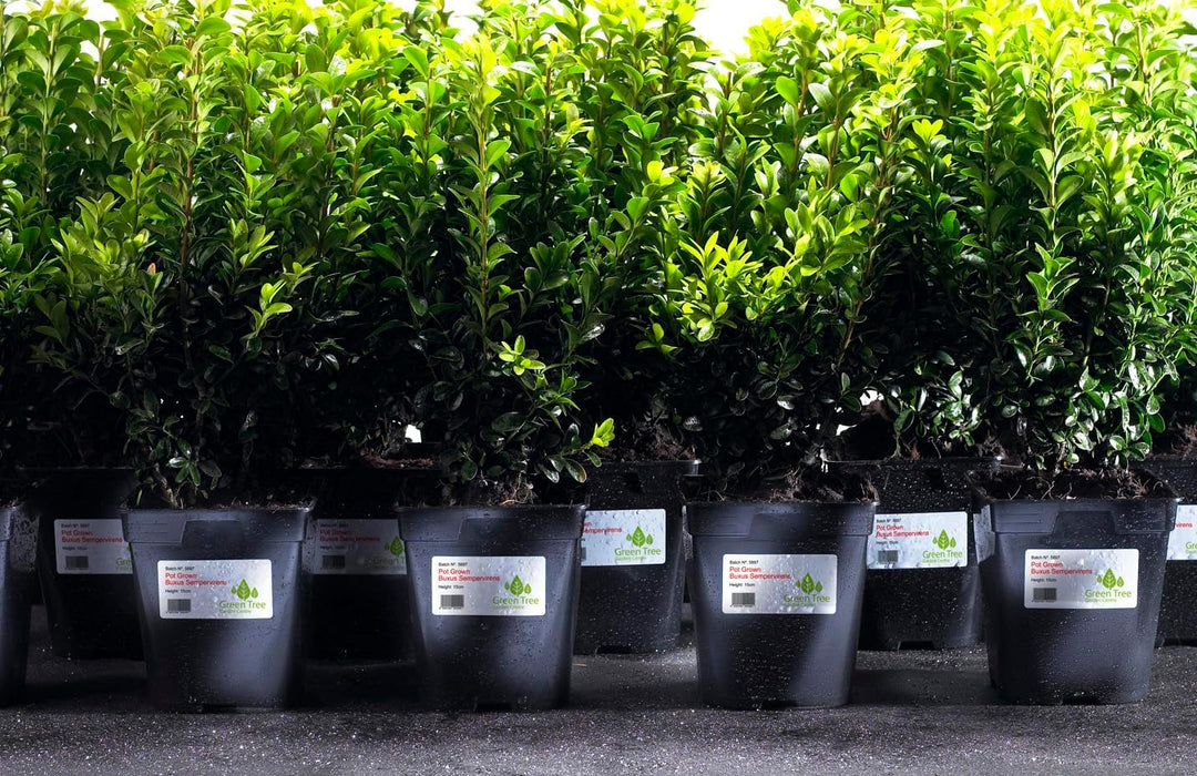 Avery L7060-20 – Packung mit Etiketten aus Polyester, Weiss, 99,1 x 38,1 mm 280, 280