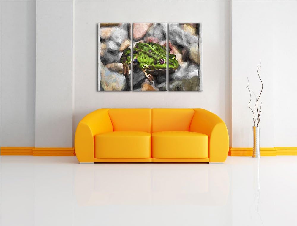 grüne Kröte in Steinbett NewArt 3-Teiler Leinwandbild 120x80 Bild auf Leinwand, XXL riesige Bilder f