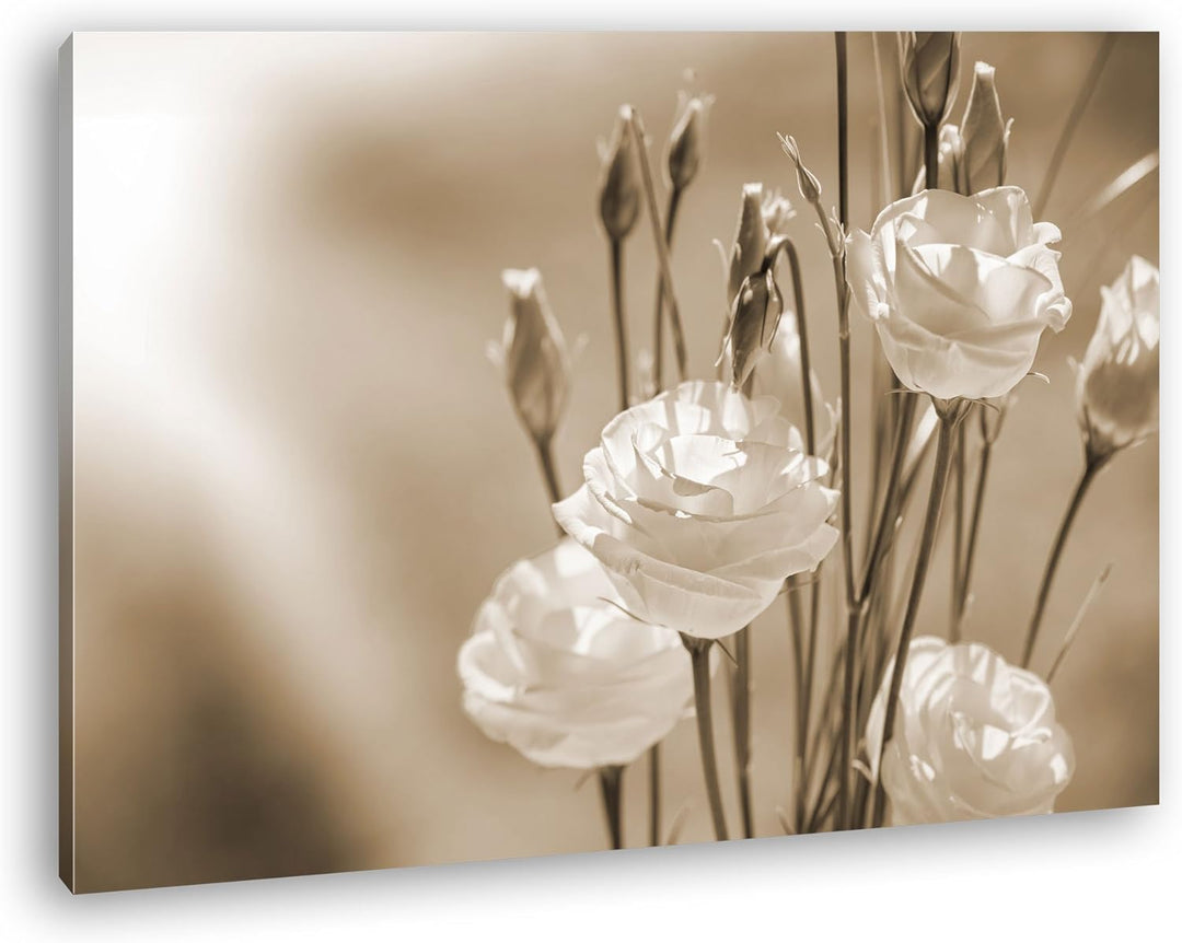 deyoli weisser Blumenstrauss Format: 100x70 Effekt: Sepia als Leinwandbild, Motiv fertig gerahmt auf