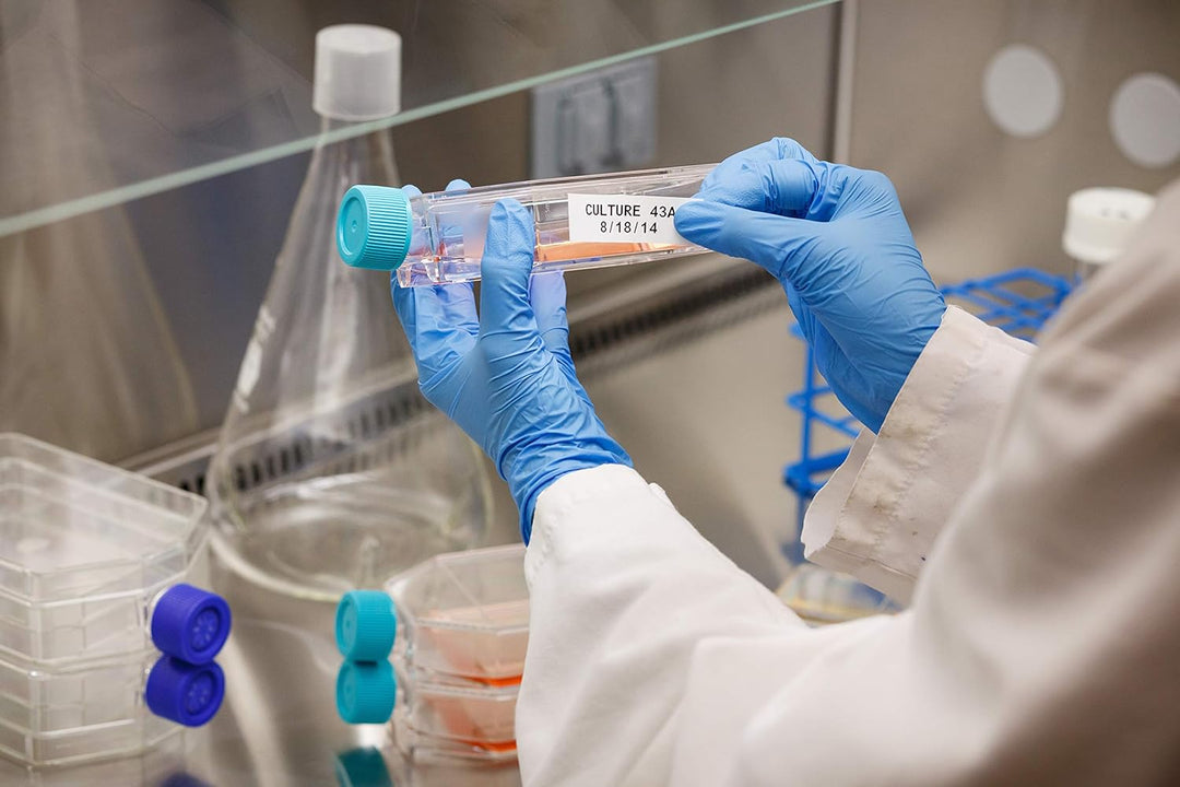 Brady (M21-375-7425) Polypropylenband für BMP21-PLUS; BMP21-LAB; BMP21 9.53 mm x 6.40 m Schwarz auf