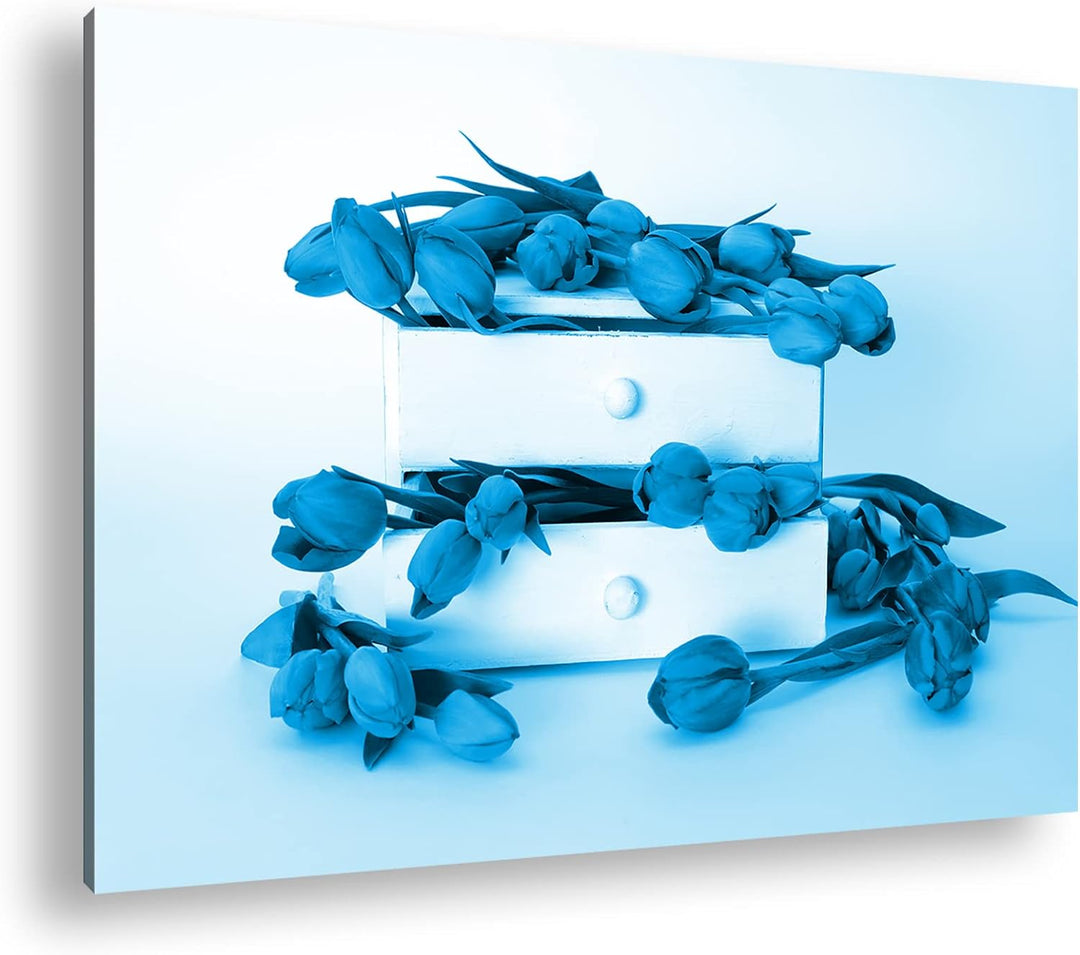 deyoli wild verstreute Tulpen Format: 80x60 Effekt: Monocrome Blau als Leinwand, Motiv fertig gerahm