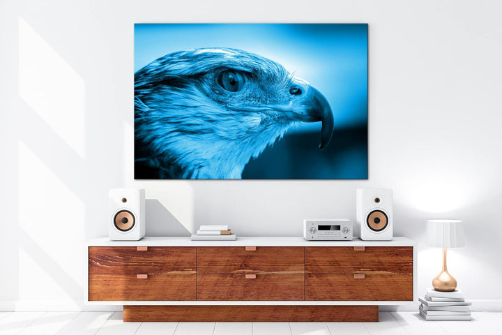 deyoli Kopf eines Falken Format 80x60 Effekt: Monocrome Blau als Leinwandbild, Motiv fertig gerahmt