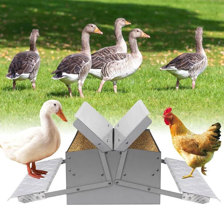 MUALROUS Futterautomat Hühner Rattensicher Hühner Futterspender Automatischer 5kg Trittplatte Hühner