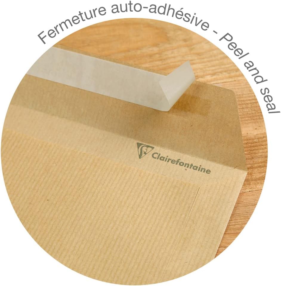Clairefontaine 10350C - Karton mit 250 Versandtaschen mit Rillen Kraftbraun C4-229x324 mm, selbstkle